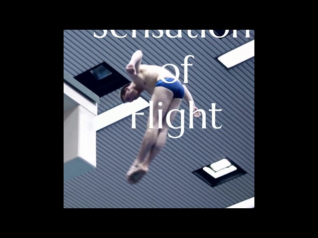 The sensation of flight