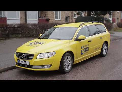 Video: Taxichauffören Tappar Licens Efter Att Ha Vägrat Ledarhund