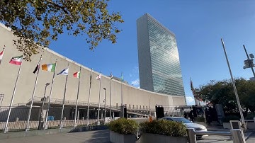 GLOBALink | Global Security Initiative different from Western ideas of security: Indian scholar