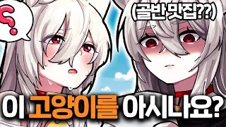 골반맛집 '피아노캣'에 대한 16가지 TMI