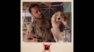 shortsof Bigulu Beaglelu perundurai beagle dogu