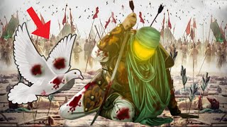 Imam Hussain Or Kabootar Ka Waqia??Imam Hussain K Khoon Ka Mojza??Karbala Ka Waqia Husayn ibn Ali