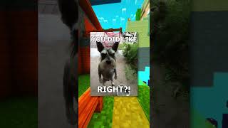 More Funny Dog Memes...
