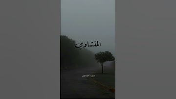 ما تيسر من آخر سورة المؤمنون  | وقل ربِّ اغفر وارحم | بصوت الشيخ محمد صديق المنشاوي