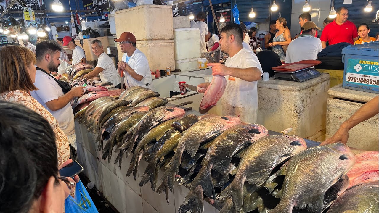 DENTRO DA MAIOR FEIRA - MANAUS MUNICIPAL MARKET - RIQUEZAS E FARTURAS DO AMAZONAS  #amazon #brasil