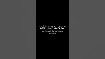 سورة النحل _ الاية 78 _ تلاوة رائعة _ ❤️📖🤲