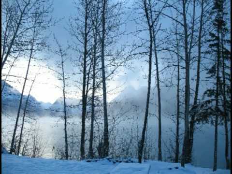 Yuditna Creek Cabin Adventure