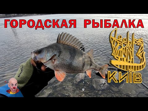 Береговая рыбалка на