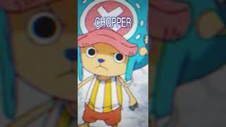 Choose Your Character One Piece Edition