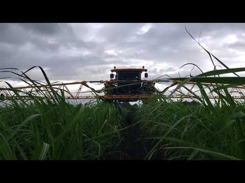 Hagie STS12 Sprayer