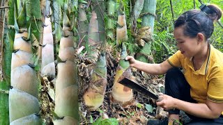 Harvesting Bamboo shoots - How to store dried Bamboo shoots for a long time - Building a Farm