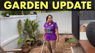 Dramatical weather change in Thailand and a Garden UPDATE