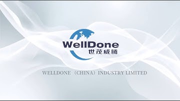 Best Quality Welldone full servo under pad machine Factory