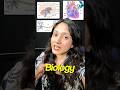 ICSE Toppers Study Like This 😱 #icse #infinitylearn #icseclass10