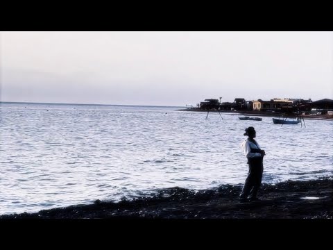     اماني