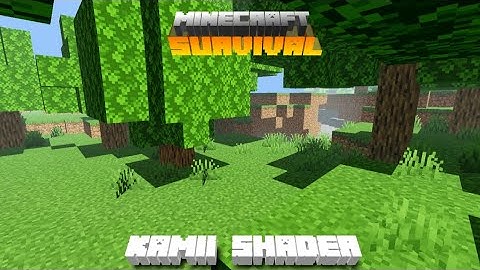 Kamii Shader Survival.