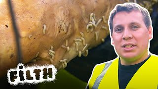 Cleaning a Maggot Infested Street | Filth Fighters | FULL EPISODE | Filth