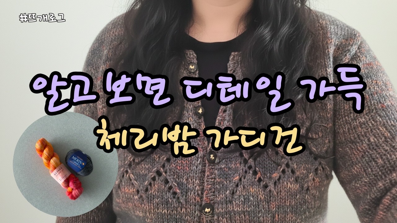 디테일로 가득 찬 '체리밤 가디건 Cherry Bomb Cardigan' 뜨개로그 | 손염색실 합사 | 하얀은염색실, 테무뜨개실, 장군님 도안