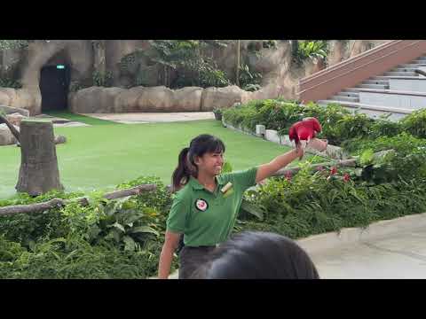 Wings Of The World | Bird Paradise