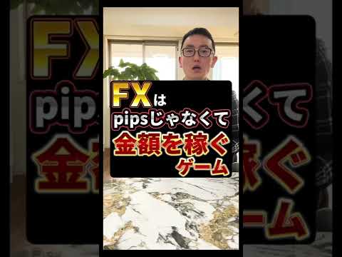 FXはpipsではなくて金額が大事！