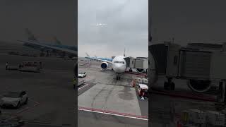 Please follow my flight EK146