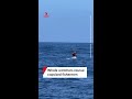 Whale watchers rescue capsized fishermen