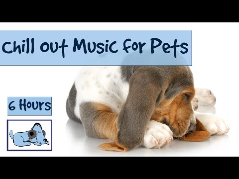 6 Hours of Chill Out Music for Your Pet. For Hyper, Stressed or Anxious Pets.