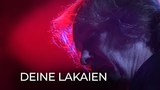 Watch Deine Lakaien Wasted Years video