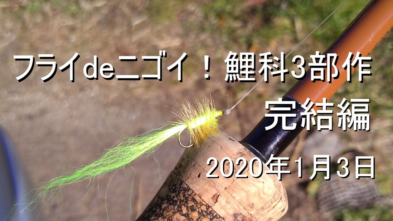 フライdeニゴイ！鯉科3部作完結編 2020年1月3日