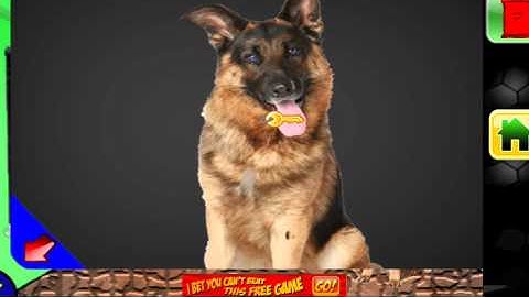 Can You Escape Space Doors - Level 11 12 13 14 15 Walkthrough Guide