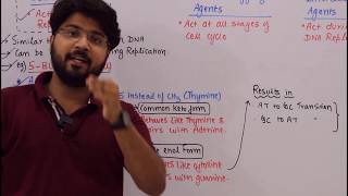 Base Analogs (Chemical Mutagens) #CSIR #DBT #GATE #NEET #IFS