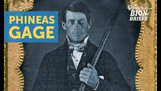 The Oddity Of Neuroscience: Phineas Gage