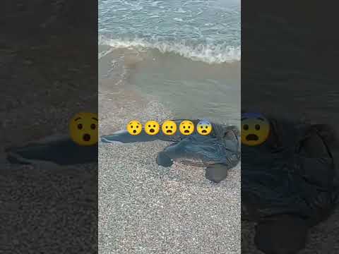 ناظور بني انصار مليلية المحتلة دير ابوني ليصلك جديد فضلا وليس أمرا