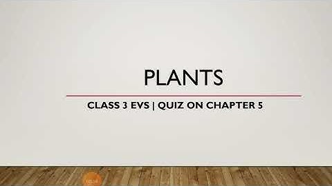 Class 3 EVS | Quiz on Chapter 5