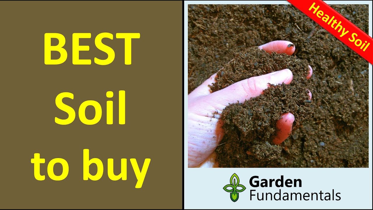 Which Soil Is Best 💲🌋🧿️💲 Top Soil Vs Garden Soil Vs Potting Soil