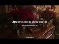 BUCK-TICK&bull;Elise no Tame ni&bull;Sub Espa&ntilde;ol/Romaji
