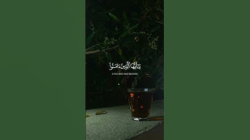 | قرآن كريم راحة نفسية | 🕊 اللهم انصر اهلنا في فلسطين وغزة 🇵🇸🫀 #قرآن #فلسطين_حرة #راحة_نفسيه