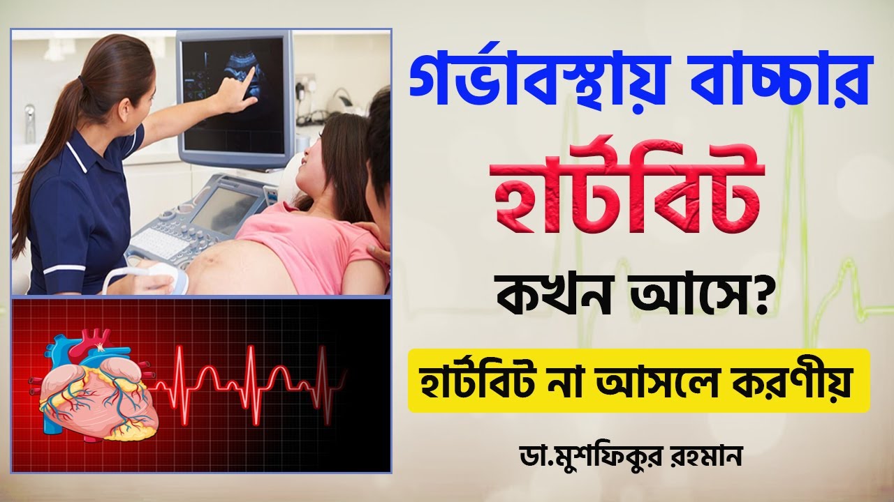 গর্ভাবস্থায়  হার্টবিট কখন শুরু হয় ও আল্ট্রাসনোতে বোঝা যায়?