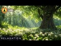 🔴 Relaxing Music 24/7, Calm Music, Meditation Music, Stress Relief, Relaxing River Sounds With Birds