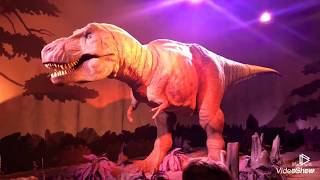 Canlı Gibi Dinozor T-Rex National Gallery Gerçek Dinozor Sesi
