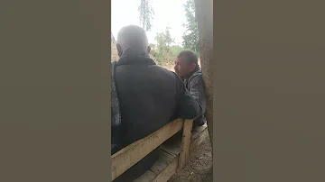 المنيا مغاغه قرية ملاطيه 