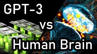 GPT-3 vs Human Brain