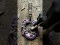 Molten Metal Meets Rust ⚡ The Most Satisfying Pour Ever