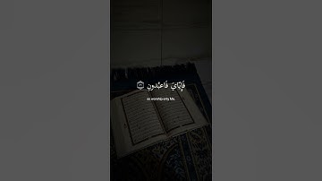 سورة العنكبوت#بصوت عبدالرحمن مسعد