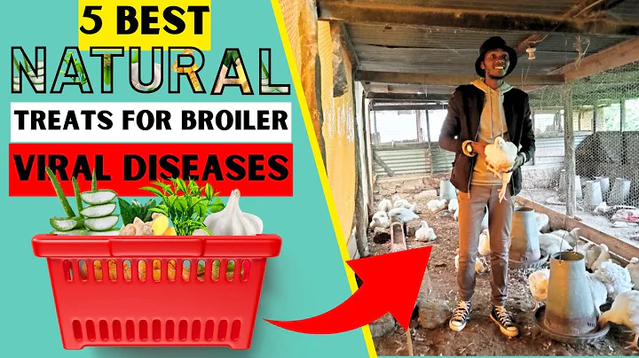 NATURAL MEDICINES FOR NEWCASTLE | INFECTIOUS BRONCHITIS | INFECTIOUS BURSAL (GUMBORO) & AVIAN FLU