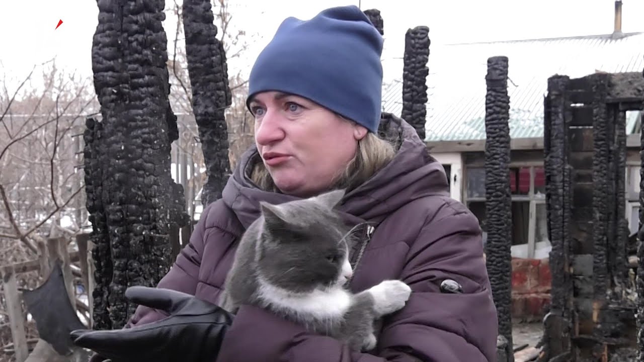 Канал омск видео. Телеканал Омск.