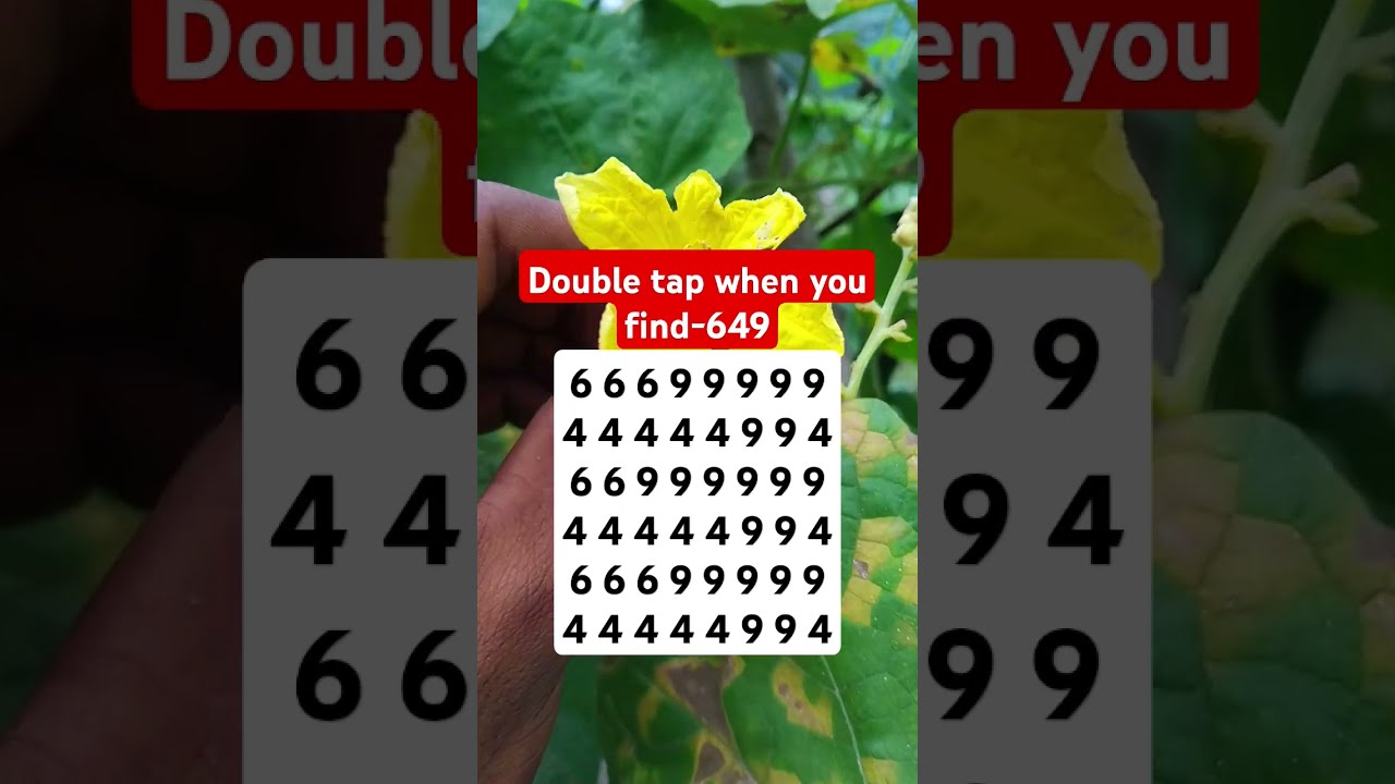 Double Tap When You Find 649 Shorts Quiz Brainteaser