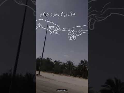 حاله واتس انساك لا يا حبيبي عمرو دياب