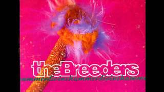 Video thumbnail of "The Breeders - Divine Hammer"