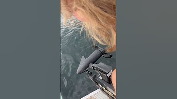 Minn Kota reviews: I have a Minnkota power drive trolling motor very hard to get in and out of...